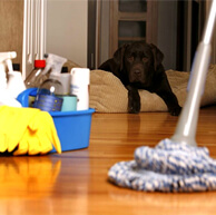 Holiday Let & Homes Cleaning